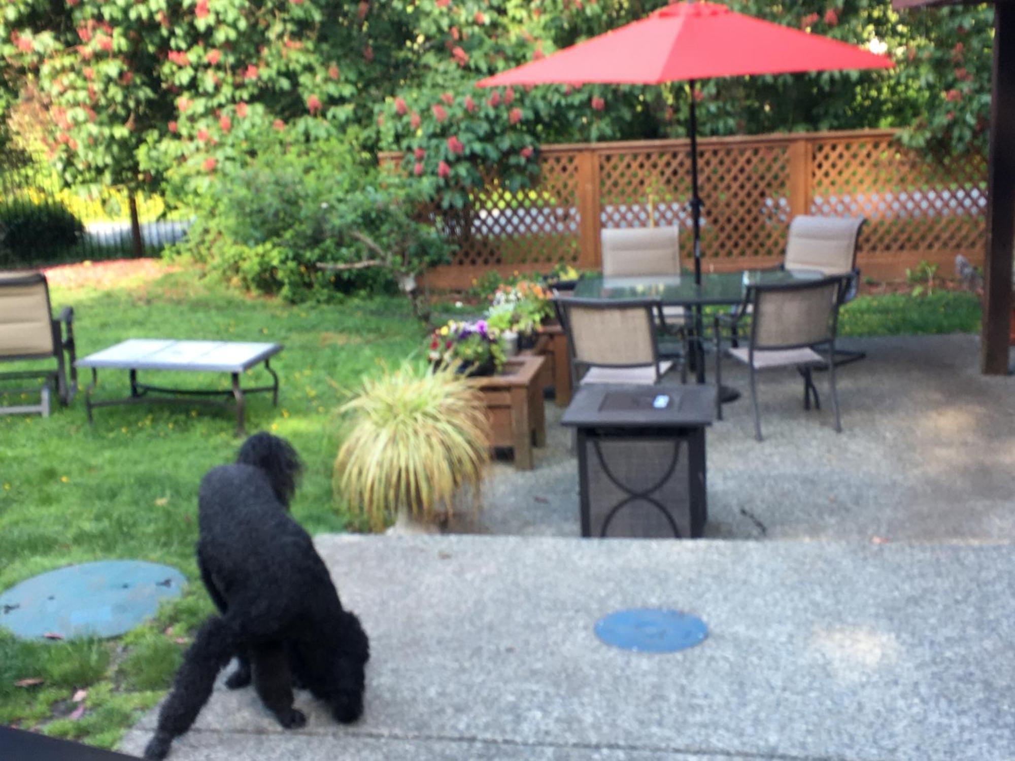 Coles Bay Vacation Retreat Βίλα North Saanich Εξωτερικό φωτογραφία