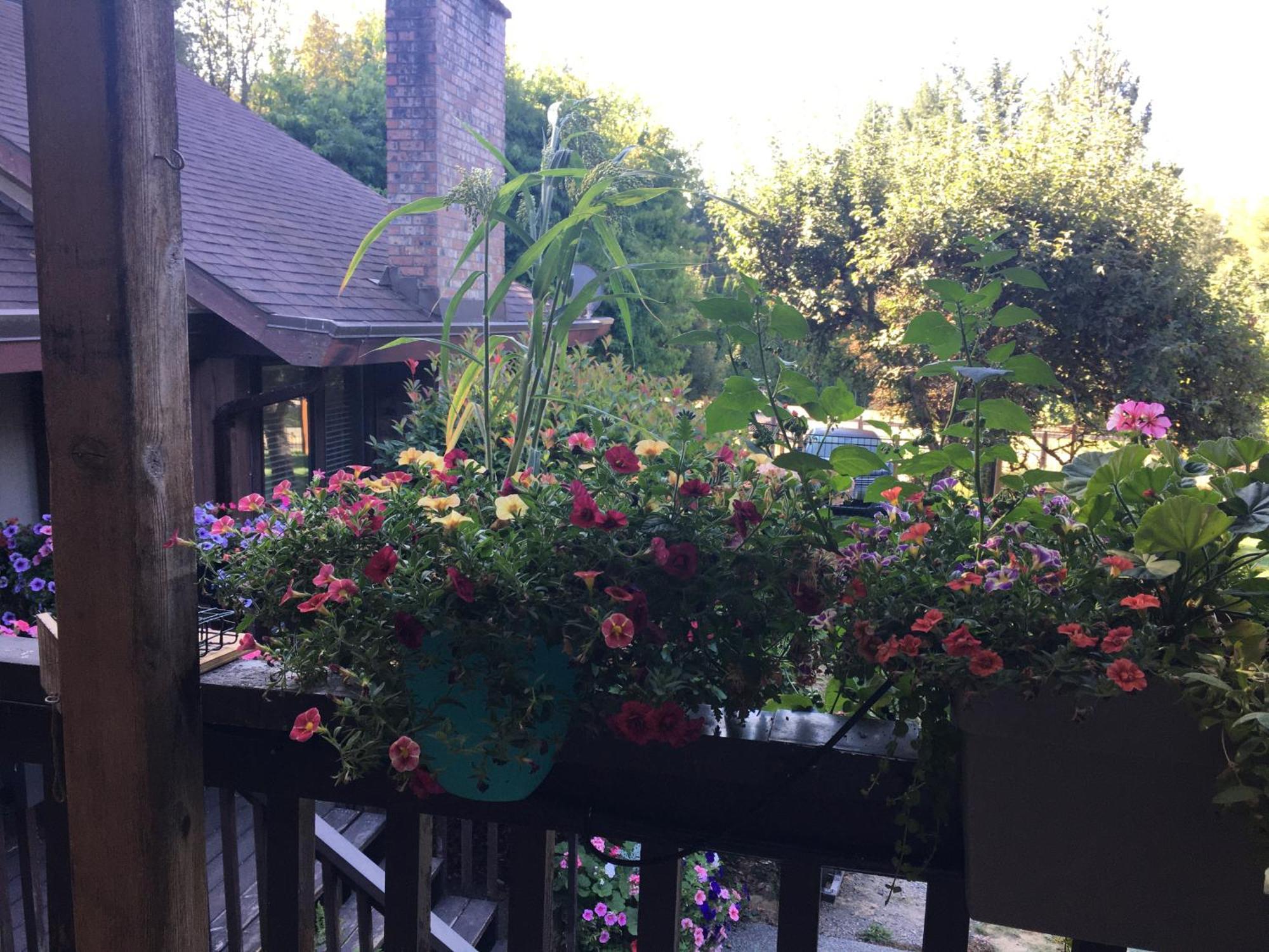 Coles Bay Vacation Retreat Βίλα North Saanich Εξωτερικό φωτογραφία