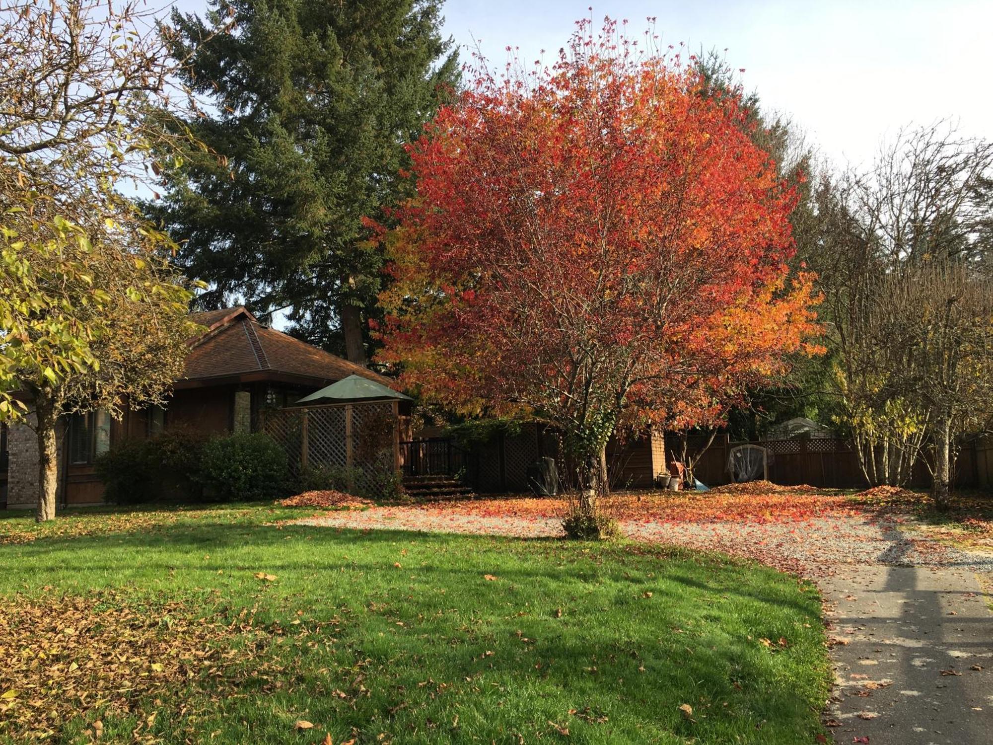 Coles Bay Vacation Retreat Βίλα North Saanich Εξωτερικό φωτογραφία