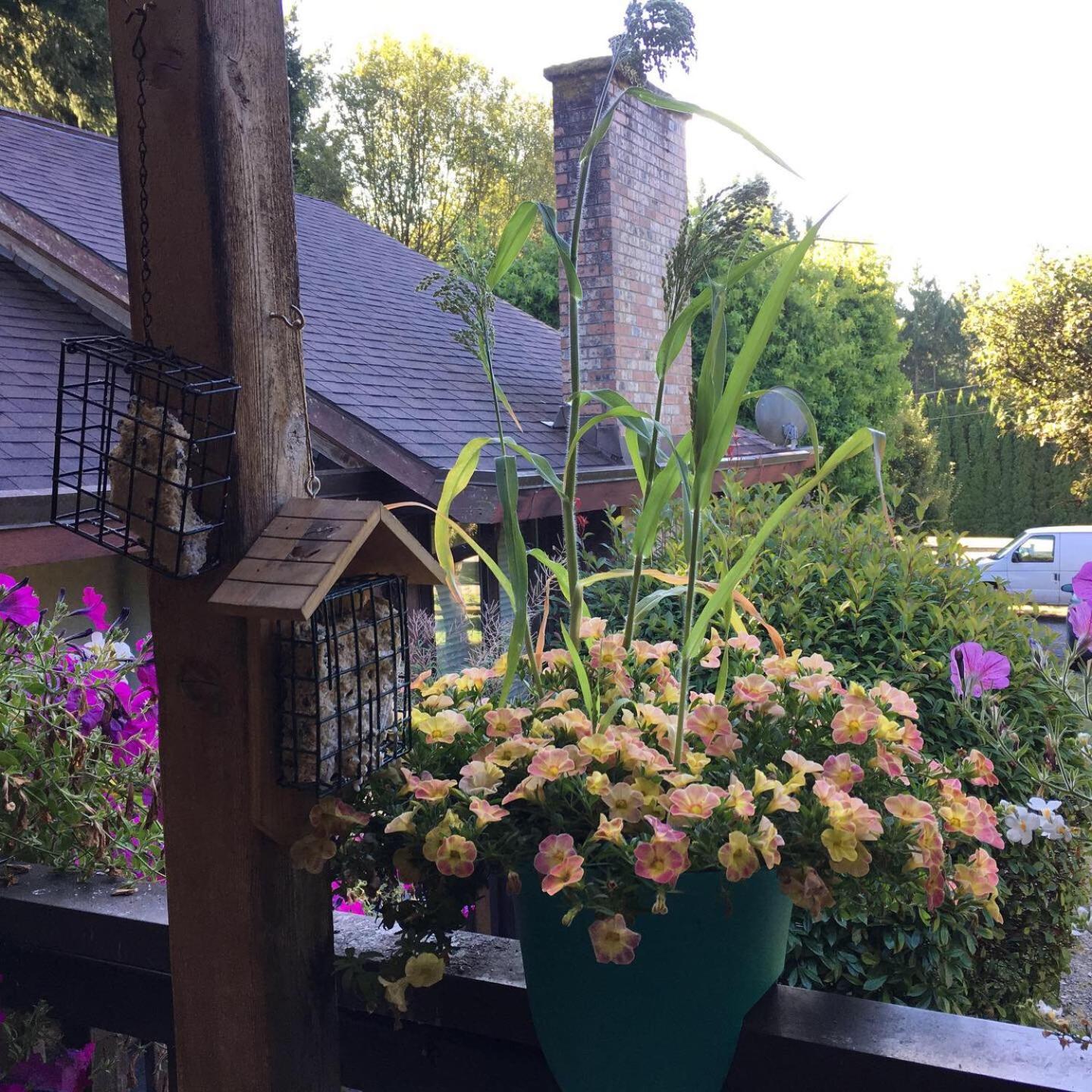 Coles Bay Vacation Retreat Βίλα North Saanich Εξωτερικό φωτογραφία