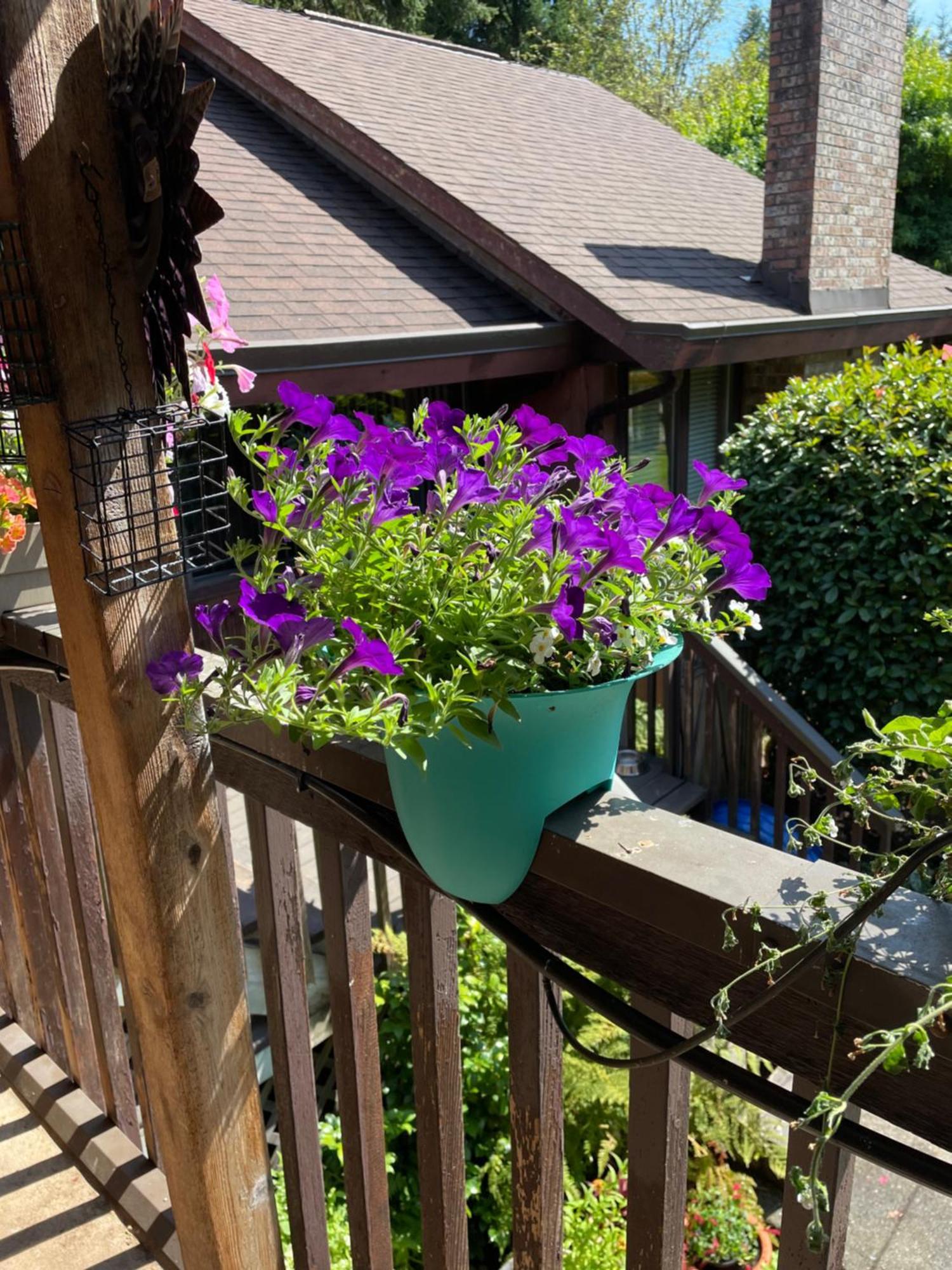 Coles Bay Vacation Retreat Βίλα North Saanich Εξωτερικό φωτογραφία