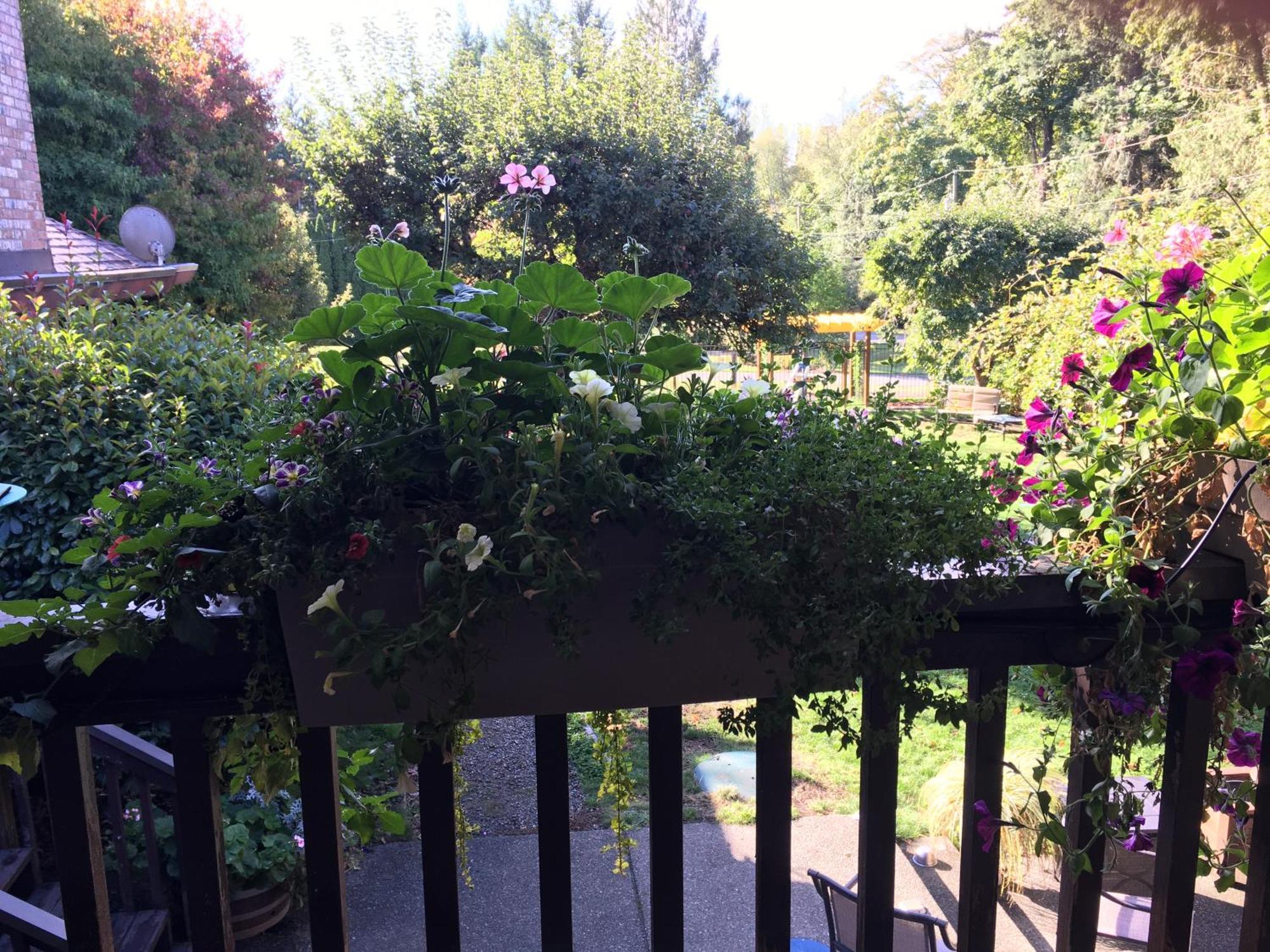 Coles Bay Vacation Retreat Βίλα North Saanich Εξωτερικό φωτογραφία