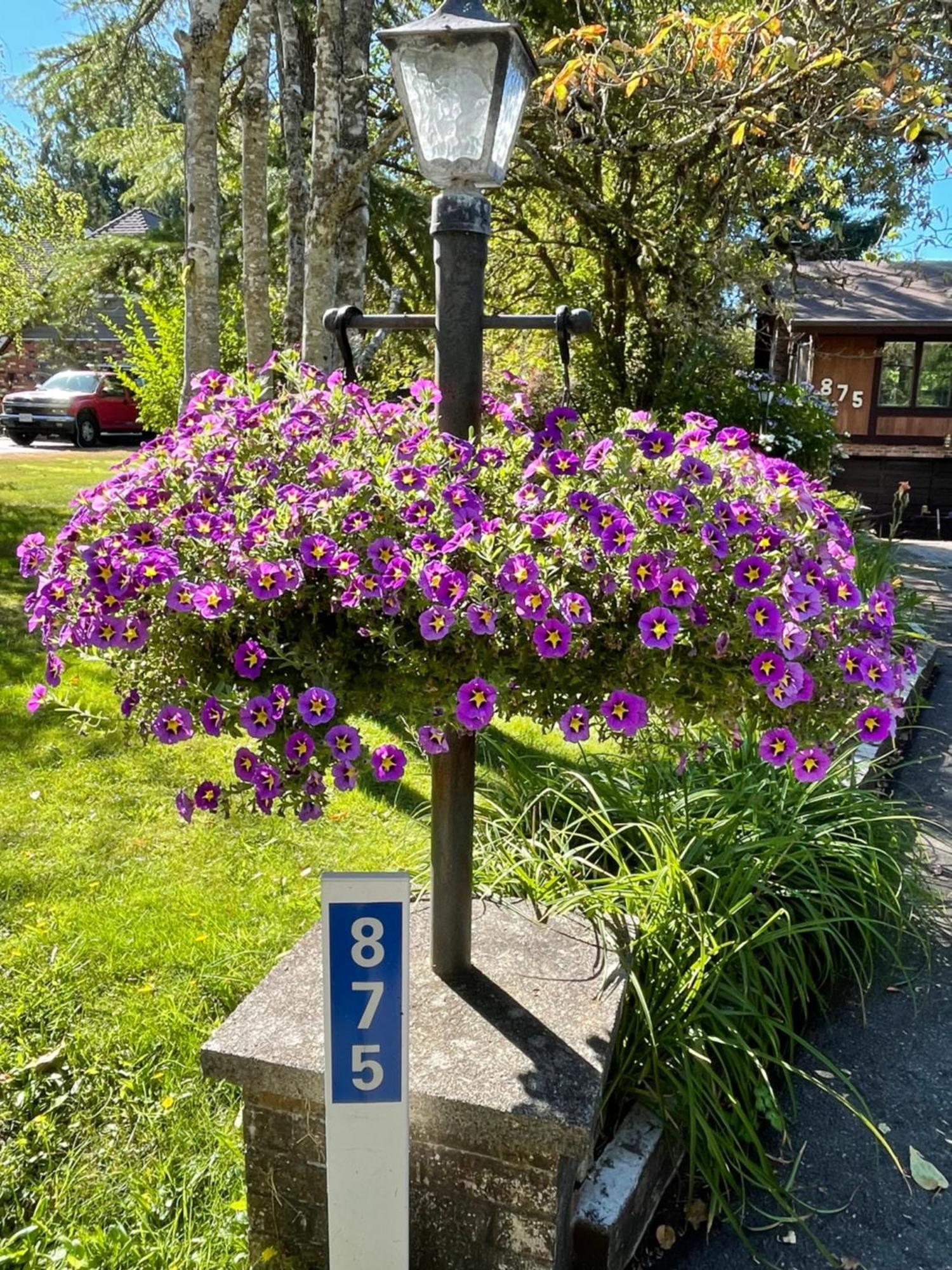 Coles Bay Vacation Retreat Βίλα North Saanich Εξωτερικό φωτογραφία