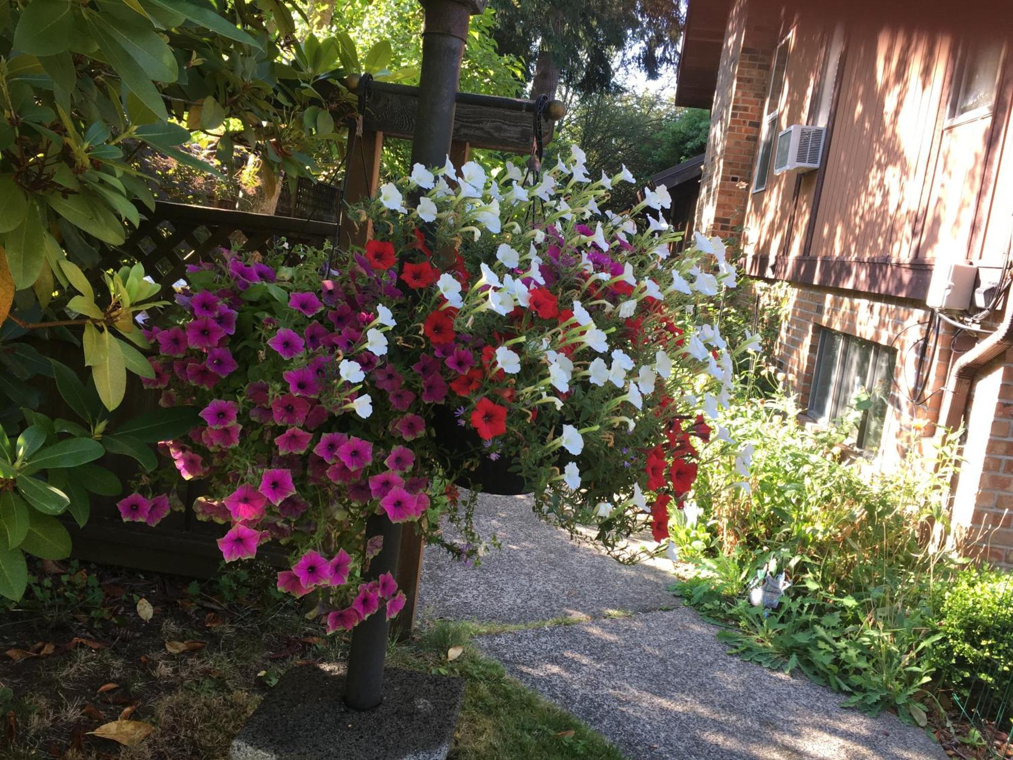 Coles Bay Vacation Retreat Βίλα North Saanich Εξωτερικό φωτογραφία