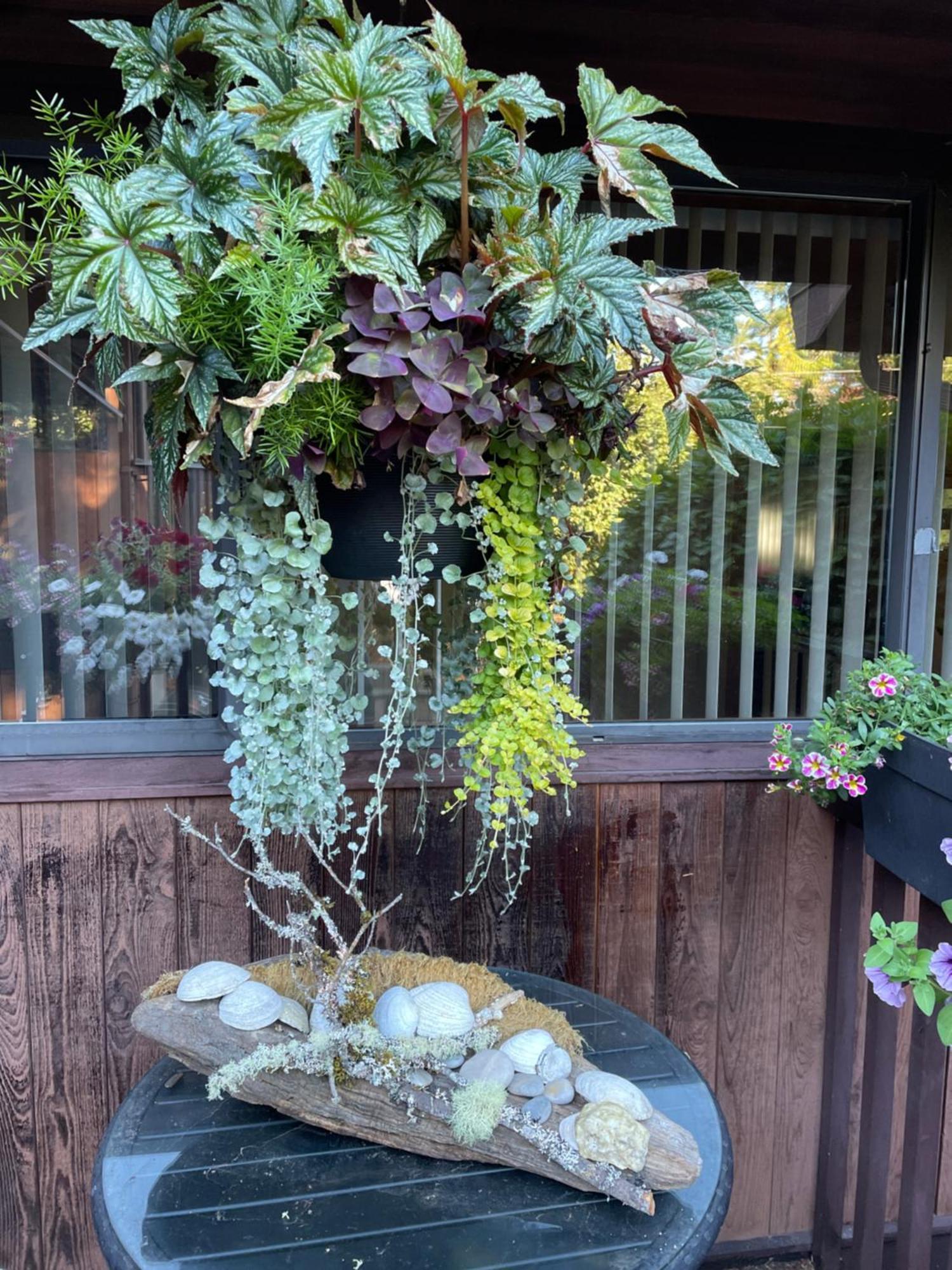 Coles Bay Vacation Retreat Βίλα North Saanich Εξωτερικό φωτογραφία