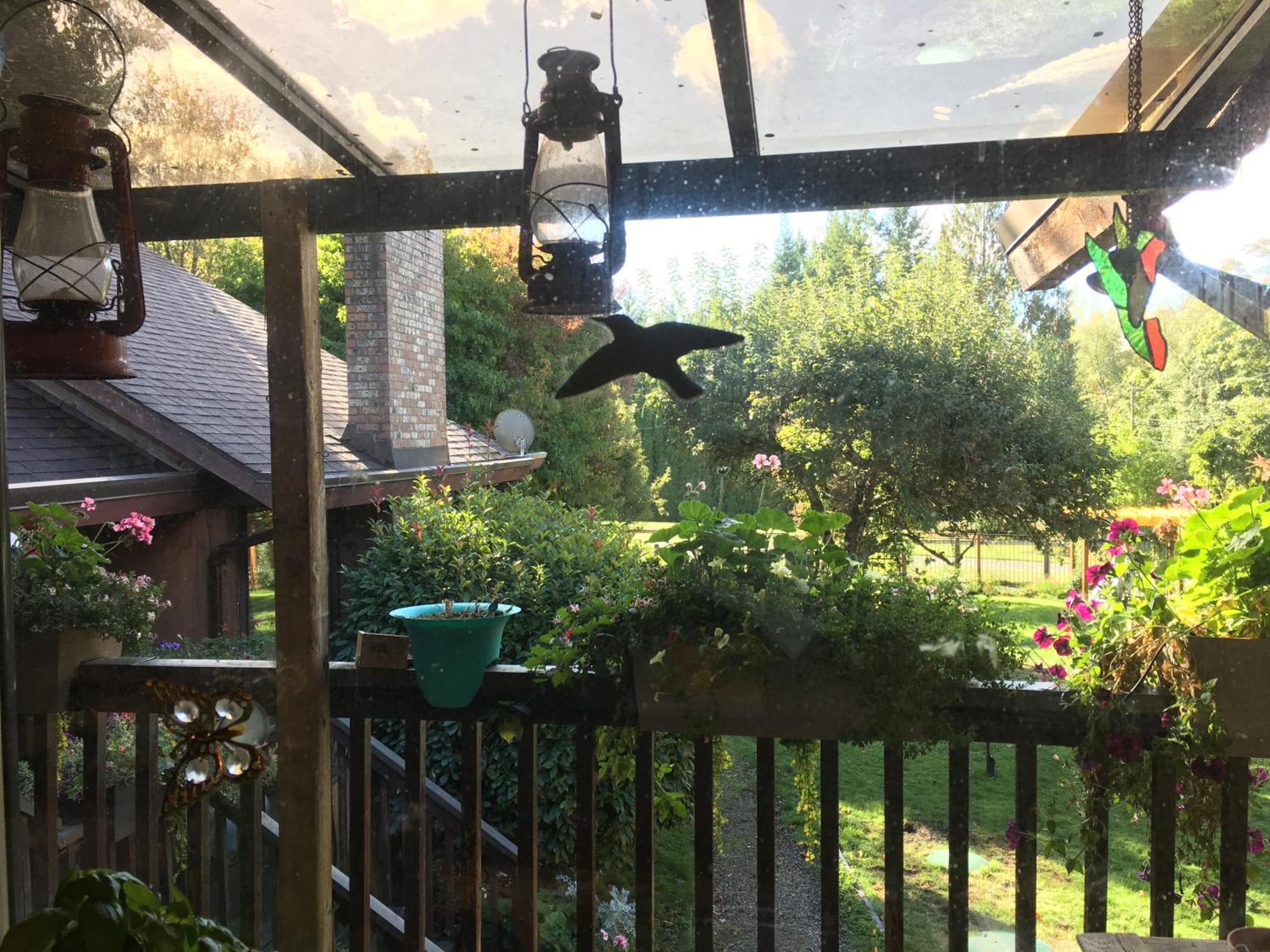 Coles Bay Vacation Retreat Βίλα North Saanich Εξωτερικό φωτογραφία